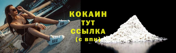 твердый Володарск