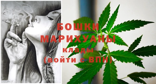 твердый Володарск